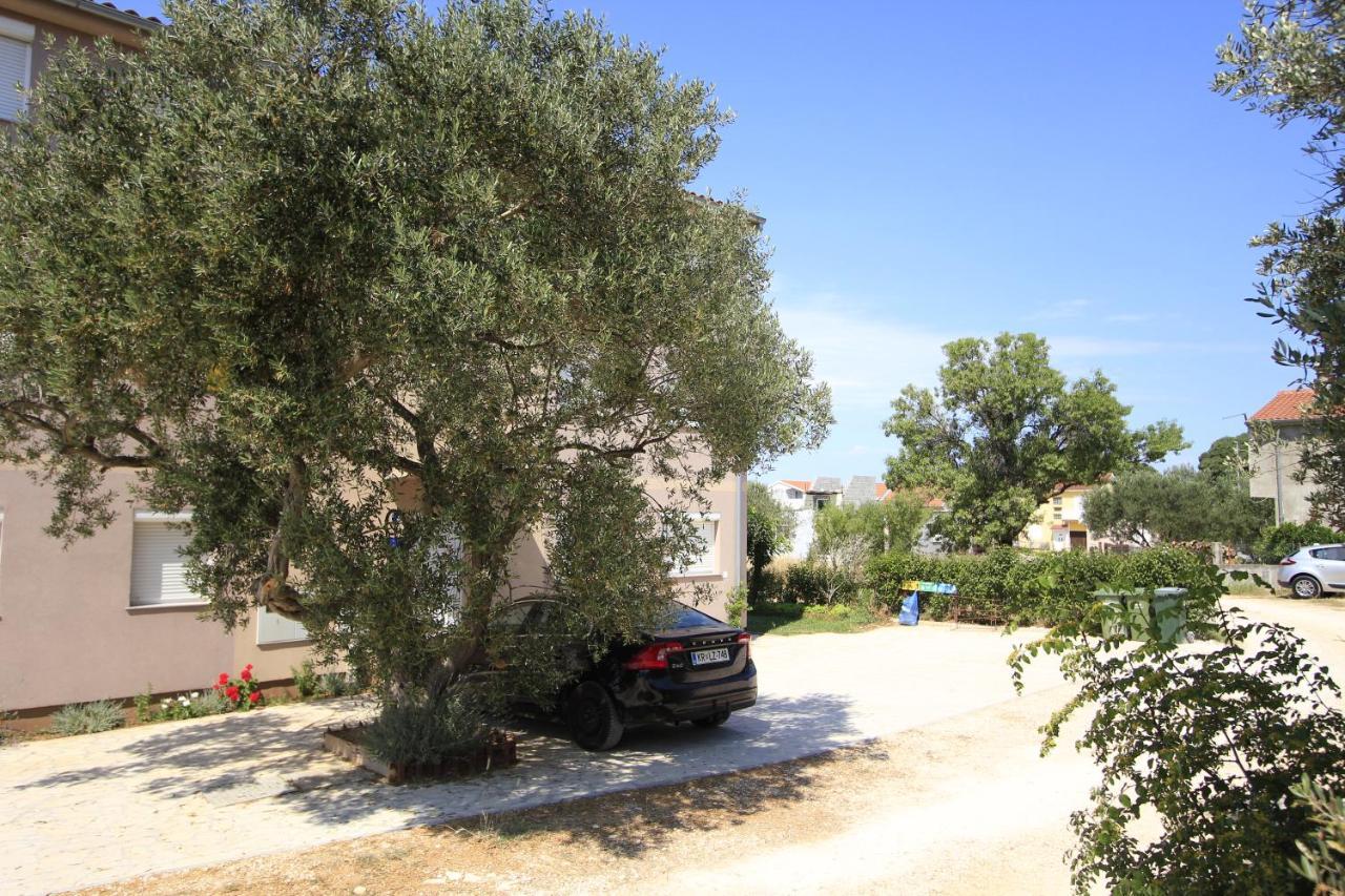 Apartmani Neja Bibinje Exterior foto